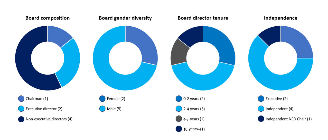 Pie image: Board composition, Board gender diversity, Board director tenure and Independence