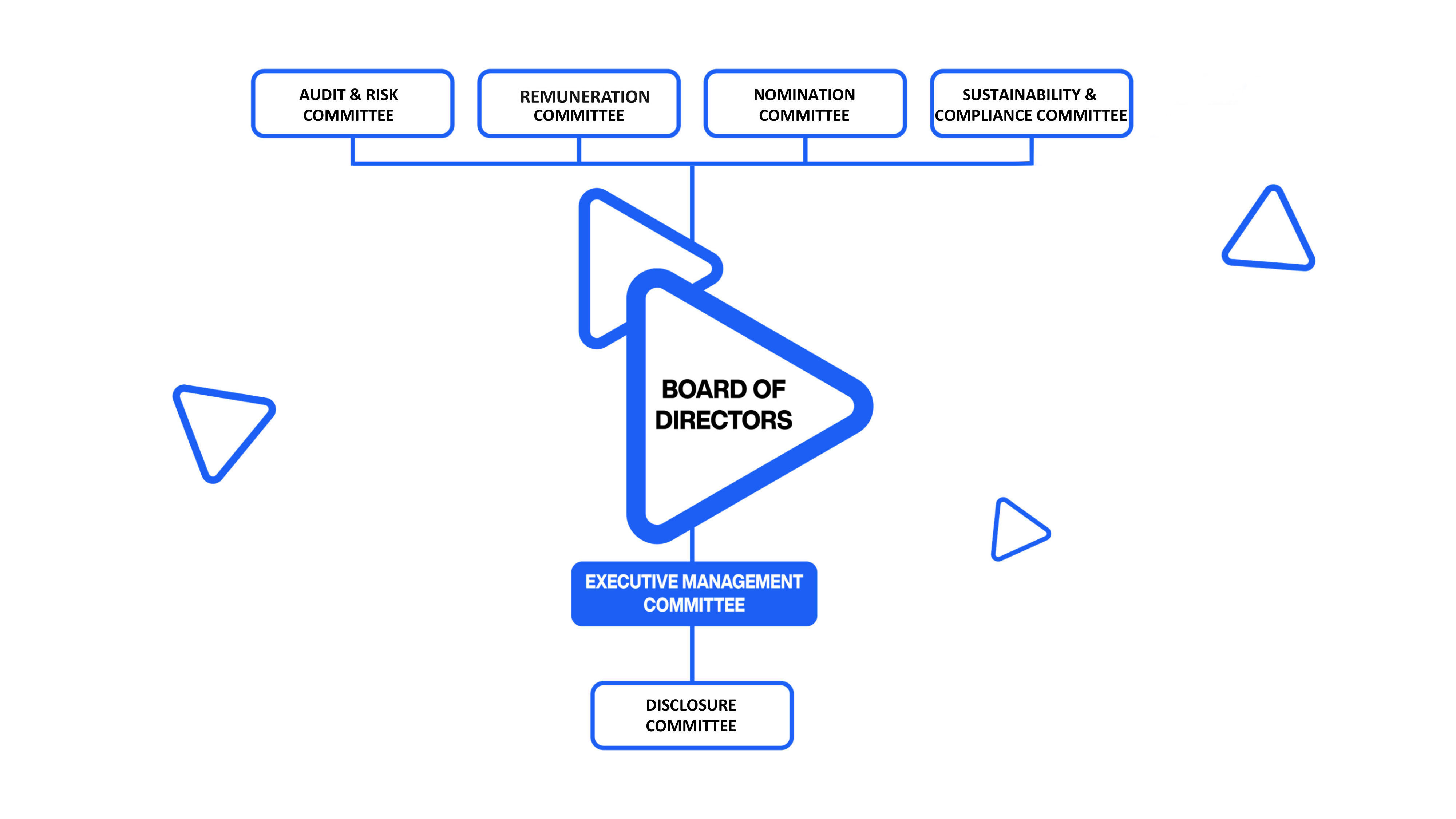Our corporate governance structure